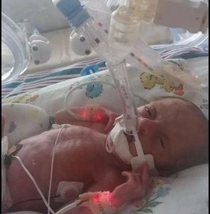 Meet your Posher, Vincent